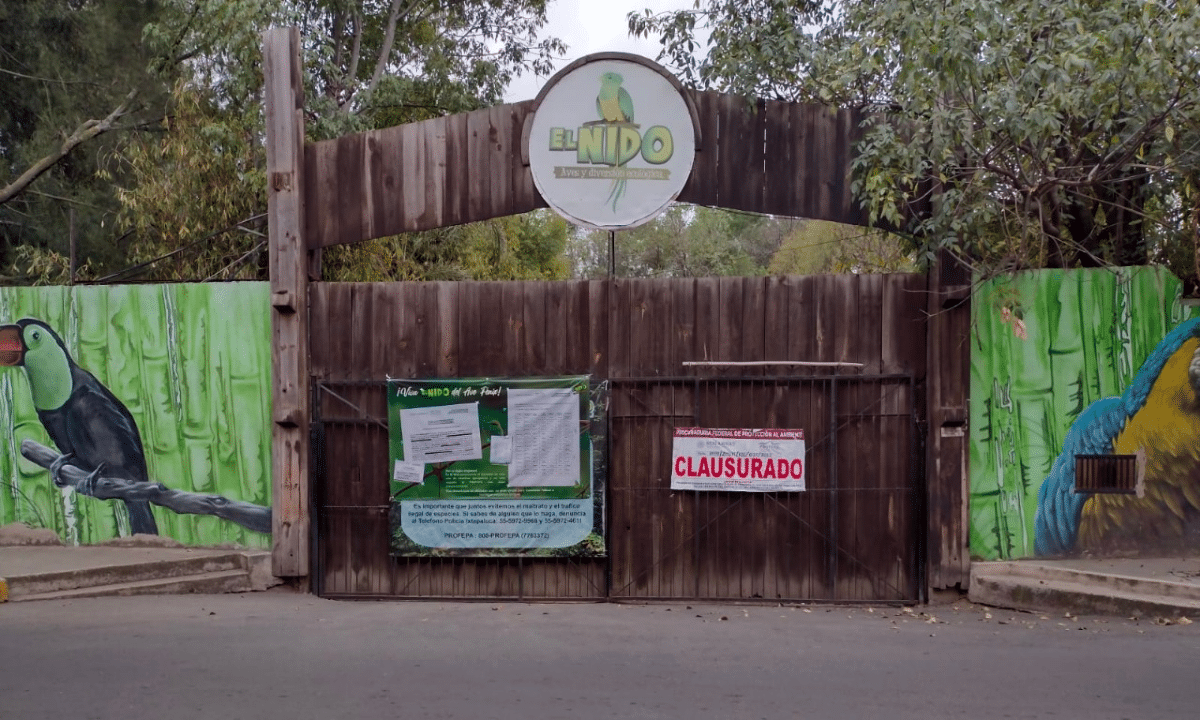 Pandemia y falta de apoyo gubernamental, sentencia de muerte para 50 aves del aviario El Nido